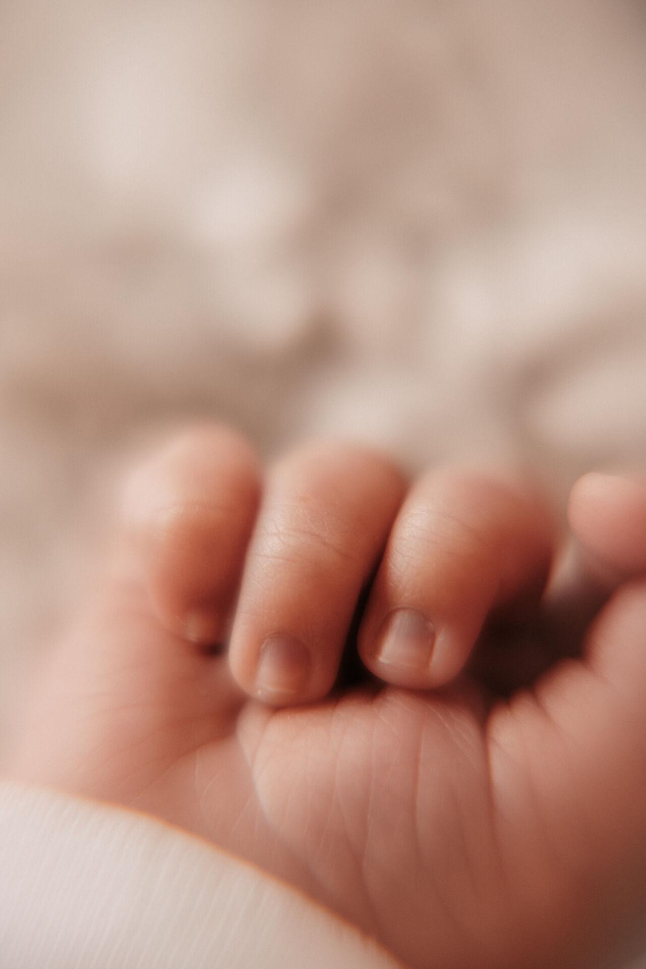 Newborn Fotografie – Stilles Baby im weichen Licht