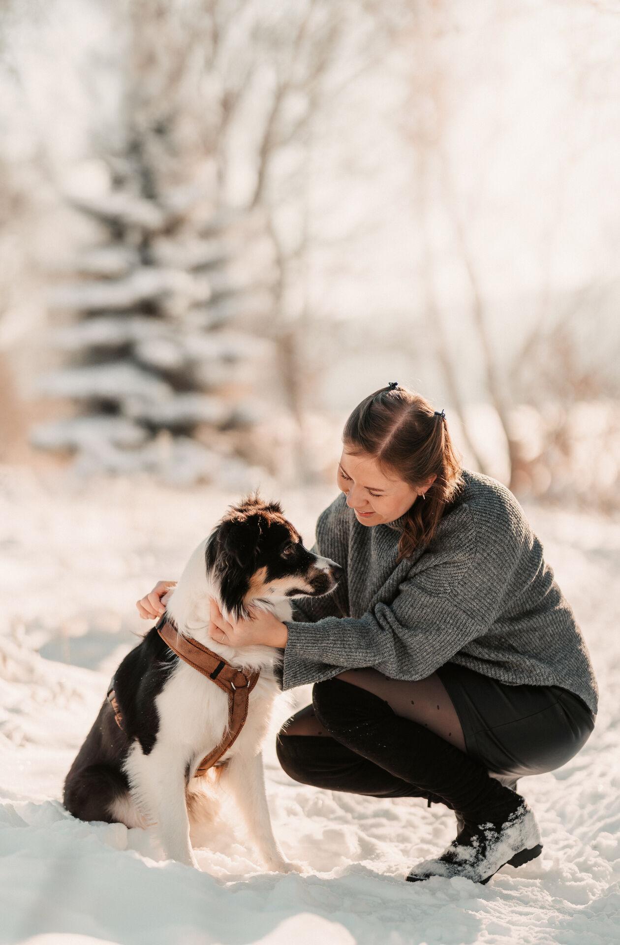 Hundefotografie – Glücklicher Hund im Frühling